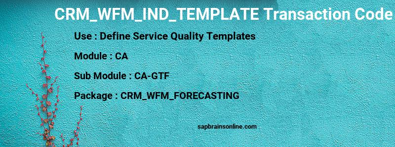 SAP CRM_WFM_IND_TEMPLATE transaction code
