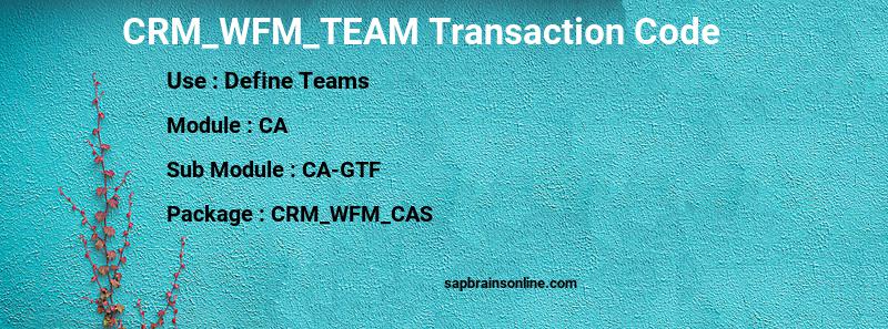 SAP CRM_WFM_TEAM transaction code