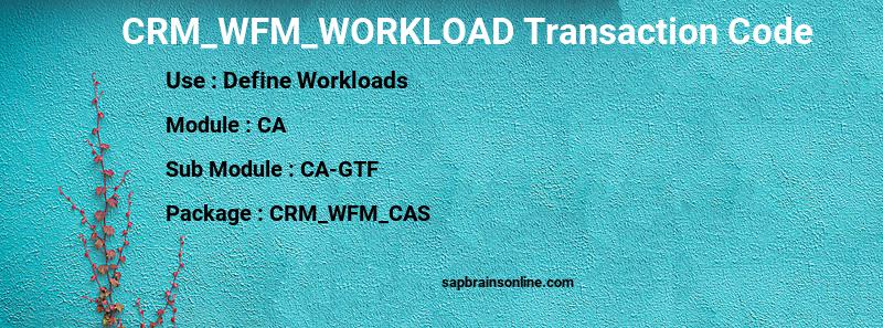 SAP CRM_WFM_WORKLOAD transaction code