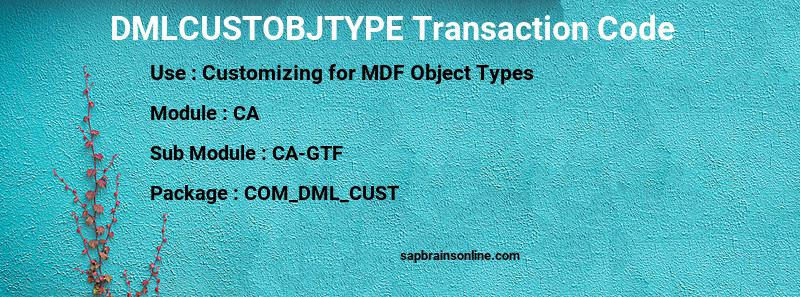 SAP DMLCUSTOBJTYPE transaction code