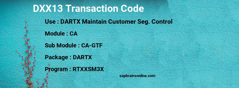SAP DXX13 transaction code