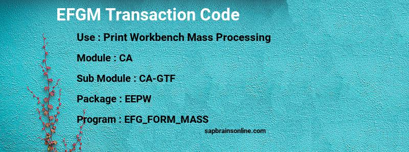 SAP EFGM transaction code