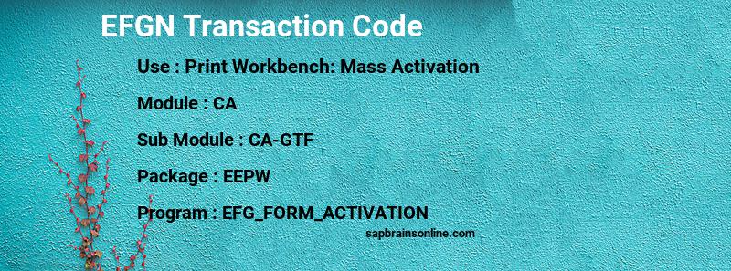 SAP EFGN transaction code