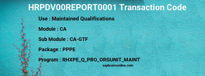 SAP HRPDV00REPORT0001 transaction code