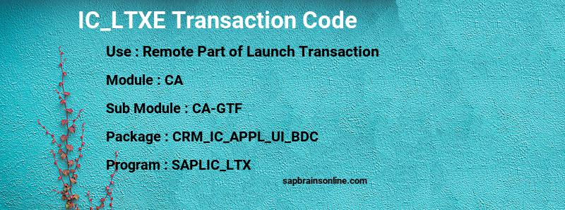 SAP IC_LTXE transaction code