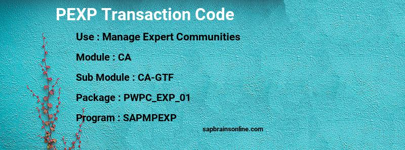 SAP PEXP transaction code