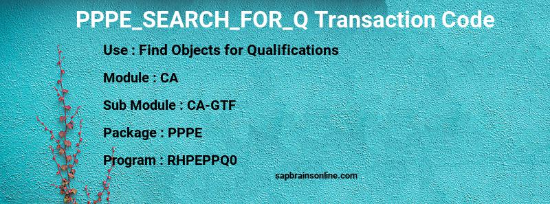 SAP PPPE_SEARCH_FOR_Q transaction code