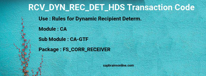 SAP RCV_DYN_REC_DET_HDS transaction code