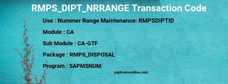 SAP RMPS_DIPT_NRRANGE transaction code