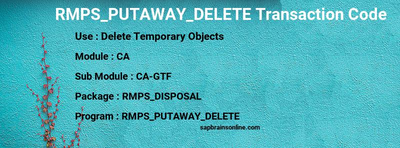 SAP RMPS_PUTAWAY_DELETE transaction code