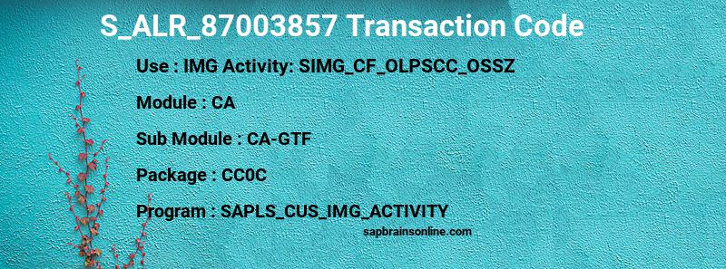 SAP S_ALR_87003857 transaction code