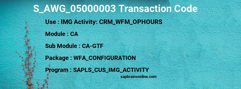 SAP S_AWG_05000003 transaction code