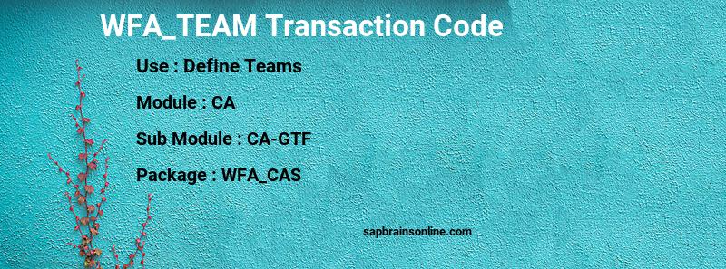 SAP WFA_TEAM transaction code