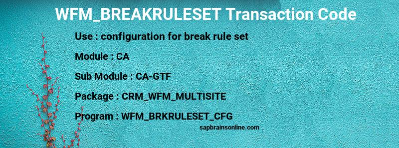 SAP WFM_BREAKRULESET transaction code