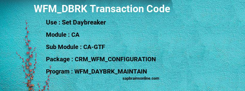 SAP WFM_DBRK transaction code