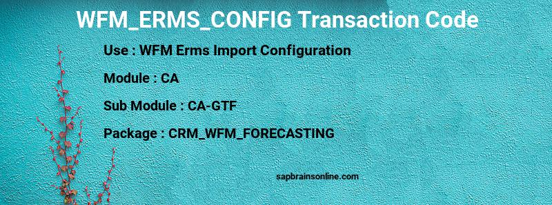 SAP WFM_ERMS_CONFIG transaction code