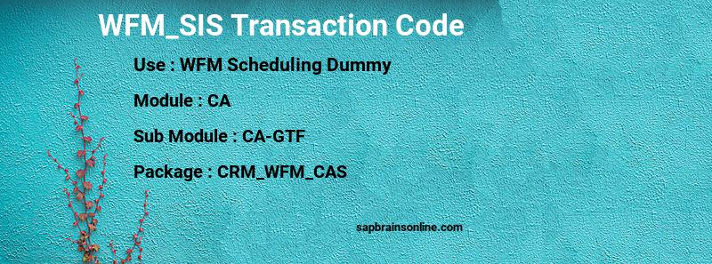 SAP WFM_SIS transaction code