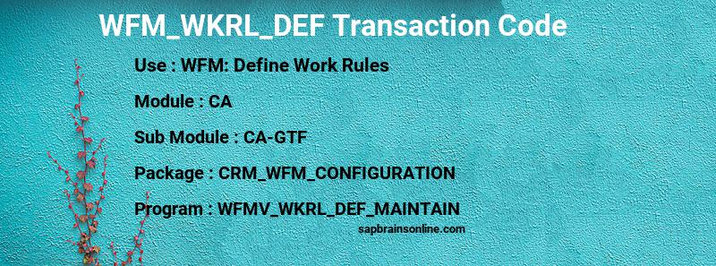 SAP WFM_WKRL_DEF transaction code