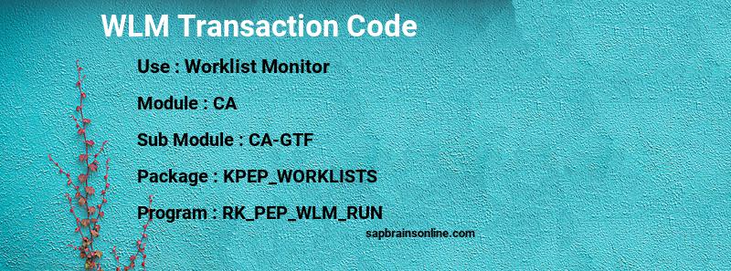 SAP WLM transaction code