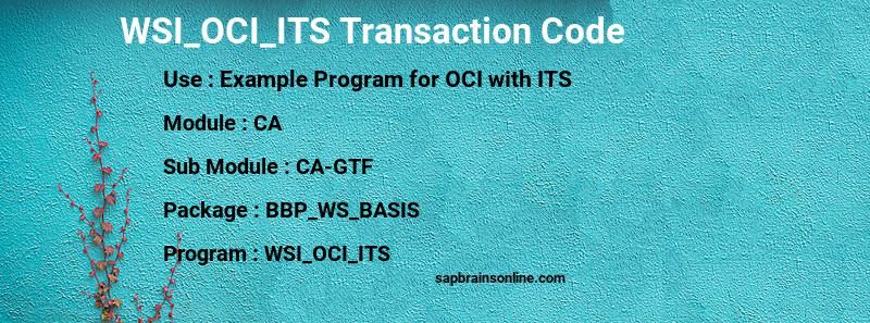 SAP WSI_OCI_ITS transaction code