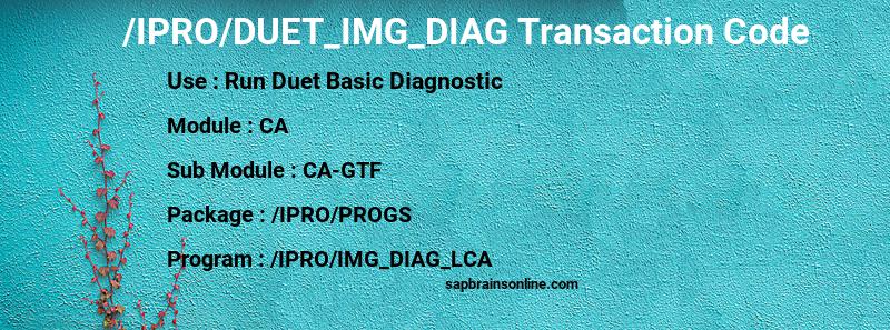 SAP /IPRO/DUET_IMG_DIAG transaction code