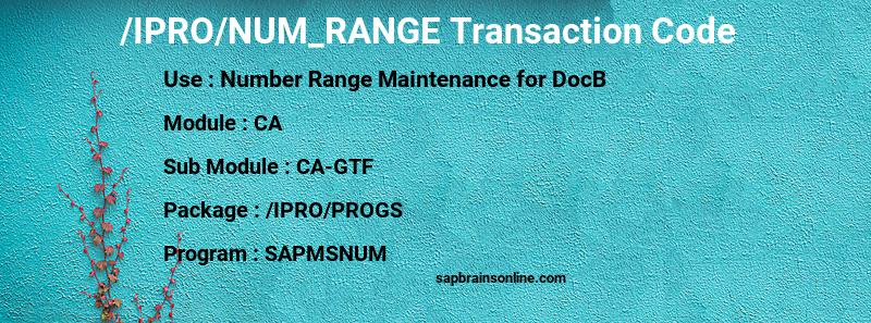SAP /IPRO/NUM_RANGE transaction code