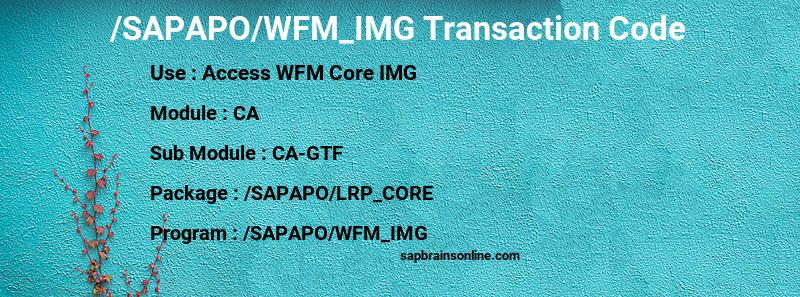 SAP /SAPAPO/WFM_IMG transaction code