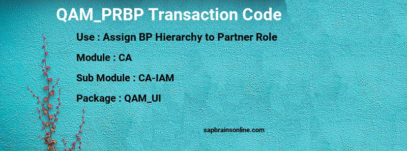 SAP QAM_PRBP transaction code
