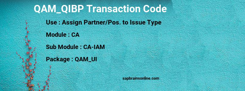 SAP QAM_QIBP transaction code