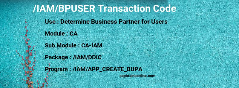 SAP /IAM/BPUSER transaction code