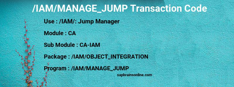 SAP /IAM/MANAGE_JUMP transaction code