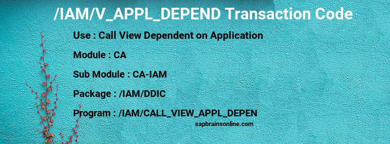 SAP /IAM/V_APPL_DEPEND transaction code