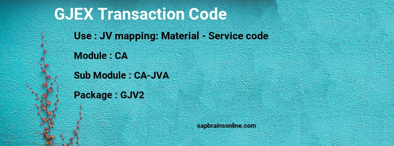 SAP GJEX transaction code