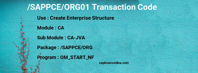 SAP /SAPPCE/ORG01 transaction code