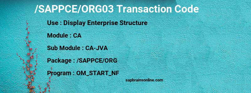 SAP /SAPPCE/ORG03 transaction code