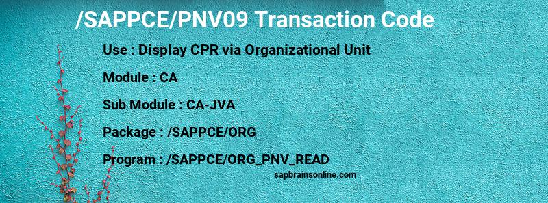 SAP /SAPPCE/PNV09 transaction code