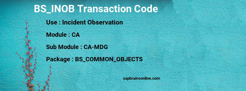 SAP BS_INOB transaction code