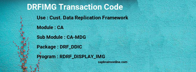 SAP DRFIMG transaction code