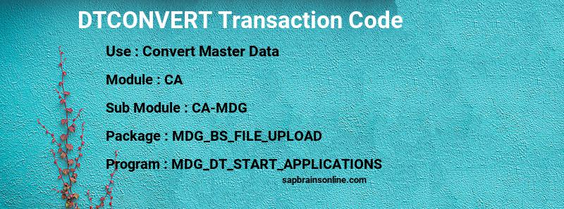 SAP DTCONVERT transaction code