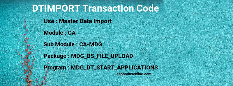 SAP DTIMPORT transaction code