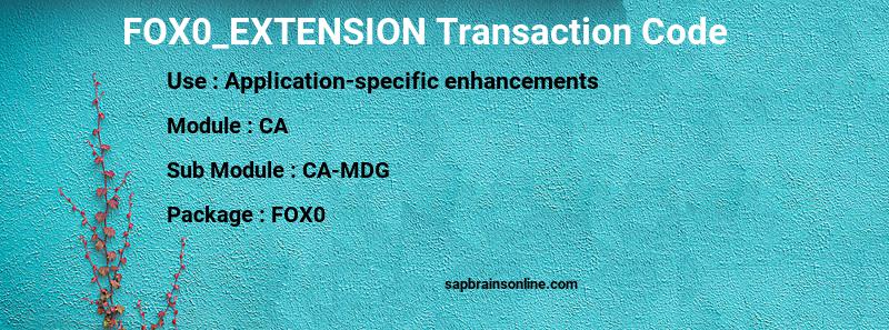 SAP FOX0_EXTENSION transaction code