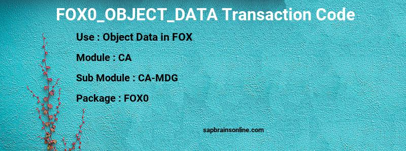 SAP FOX0_OBJECT_DATA transaction code