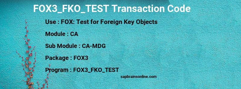 SAP FOX3_FKO_TEST transaction code