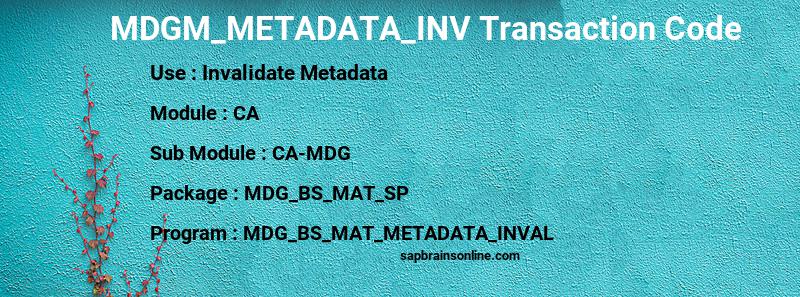 SAP MDGM_METADATA_INV transaction code