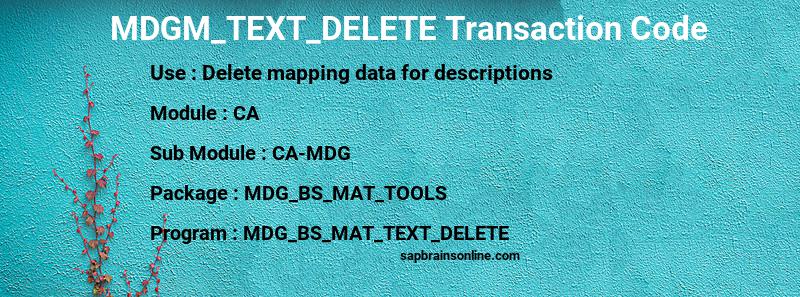 SAP MDGM_TEXT_DELETE transaction code