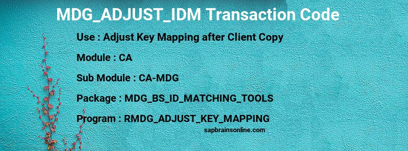 SAP MDG_ADJUST_IDM transaction code