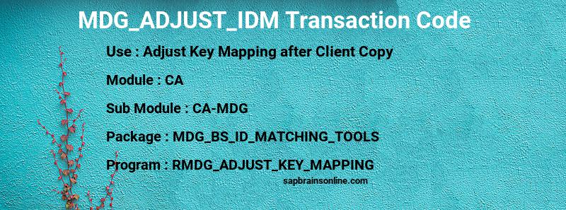 SAP MDG_ADJUST_IDM transaction code