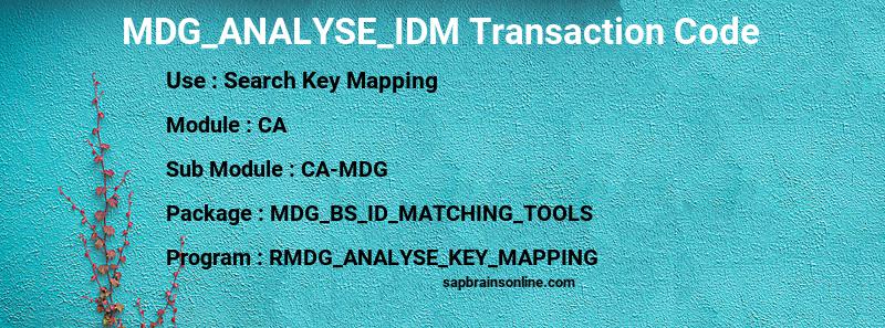 SAP MDG_ANALYSE_IDM transaction code