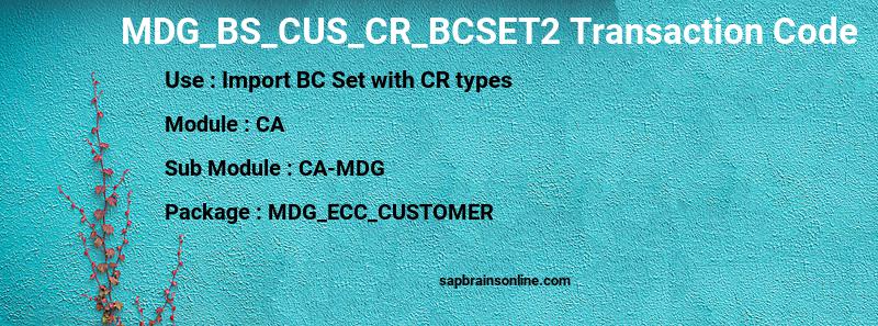 SAP MDG_BS_CUS_CR_BCSET2 transaction code