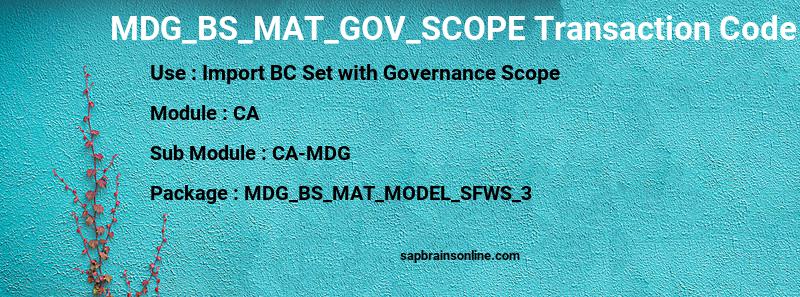SAP MDG_BS_MAT_GOV_SCOPE transaction code